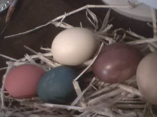 Easter_eggs_4.jpg