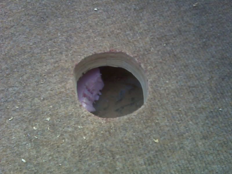 IMG00135.jpg