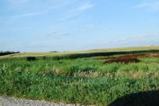 I 47 corn fields