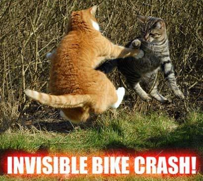 invisible_bike_crash_410.jpg