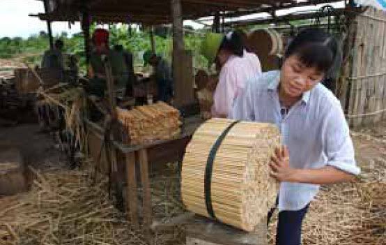 Beginilah Proses Pembuatan Sumpit Bambu 