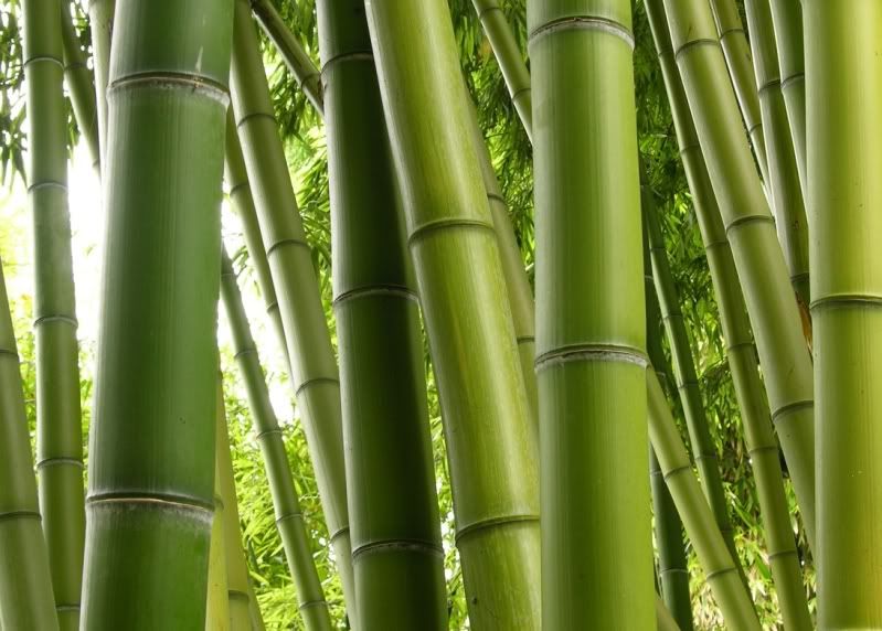 Beginilah Proses Pembuatan Sumpit Bambu