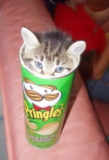 http://i136.photobucket.com/albums/q196/lorelianne/pringles.jpg