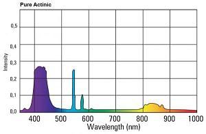 giesemann_pure_actinic.jpg