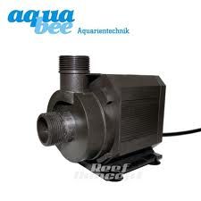 imagesCAG21JVD.jpg
