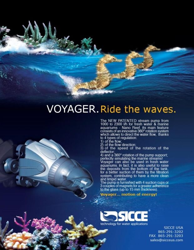 voyager_wave-1.jpg