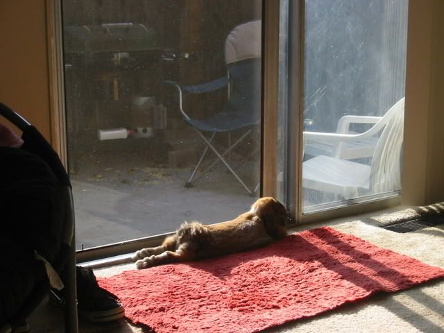 marvin in the sun
