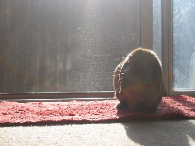 you have disturbed me