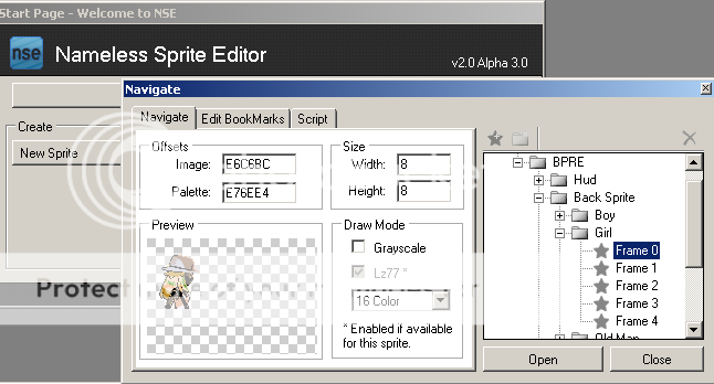 Trainer Backsprite Editing, a simple guide.