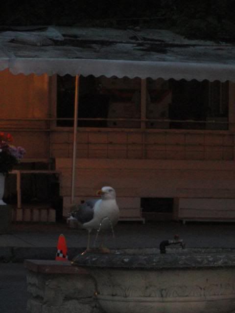 photo DSC01843_zps2bf7ab8b.jpg