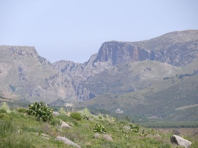 Canyon