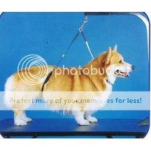 No Sit Haunch Holder Dog Grooming Restraint Large Dogs  