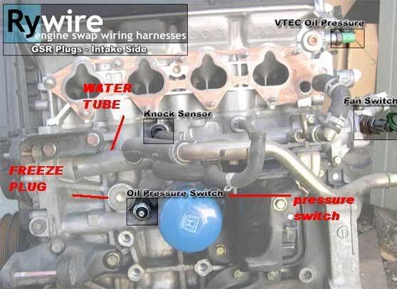 vtec oil pressure switch autozone