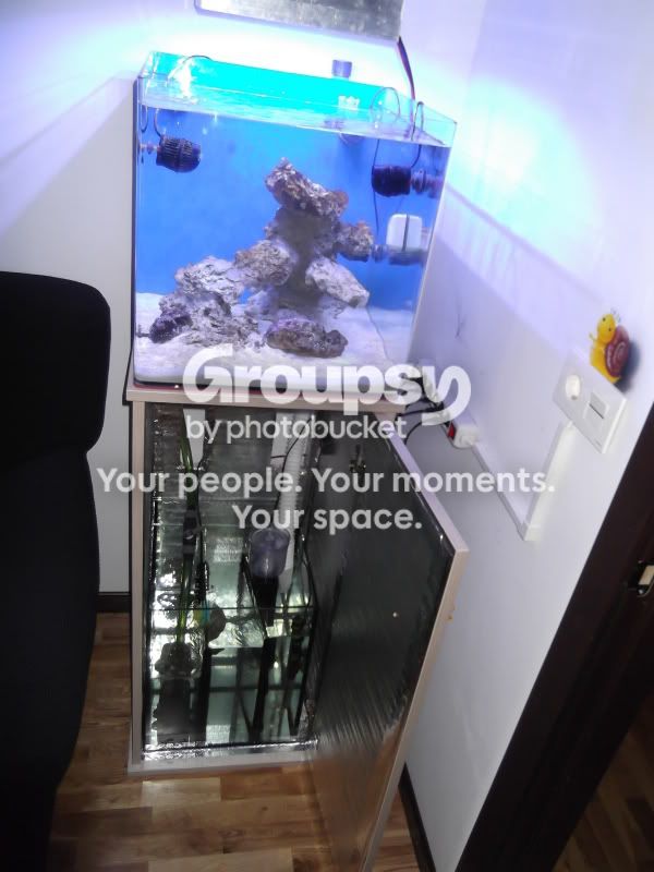 [TodoMarino.com] Cubo janoreef