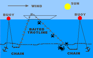 Good Information How to Make a Trotline