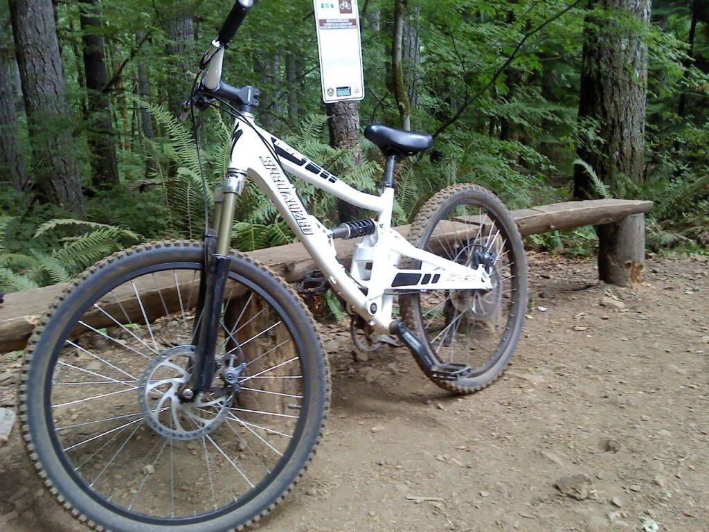 specialized big hit dh